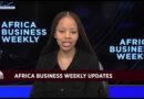 Africa Business Weekly: Boosting trade corridors for African development