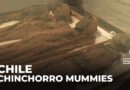Ancient Chinchorro mummies reveal secrets of survival in Chile’s Atacama Desert