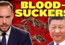 Another Plague Hits China