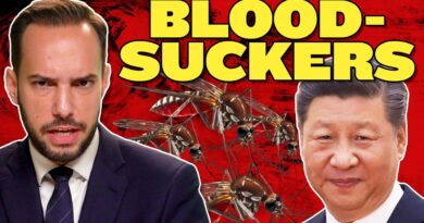 Another Plague Hits China