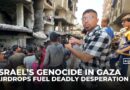 Apocalyptic scenes in Gaza City: Aid airdrops turn deadly, crowds battle to survive amid famine