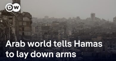 Arab states back call for Hamas to disarm | DW News