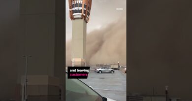 Arizona’s largest airport is back up and running after a dust storm slammed into Phoenix on Monday.