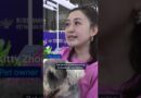 Asia pet fair: Gimmicks and AI companions for pet lovers of all kinds | DW News
