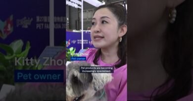 Asia pet fair: Gimmicks and AI companions for pet lovers of all kinds | DW News