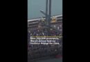 Australia’s largest pro-Palestine rally crosses Sydney Harbour Bridge | AJ #shorts