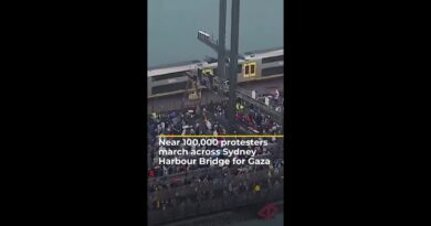 Australia’s largest pro-Palestine rally crosses Sydney Harbour Bridge | AJ #shorts