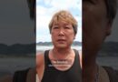 Beached whale sighting off Japan day before massive earthquake
