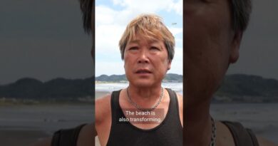 Beached whale sighting off Japan day before massive earthquake