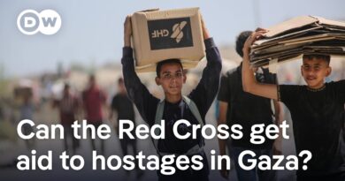 Between Netanyahu and Hamas: How the Red Cross facilitates aid into Gaza | DW News