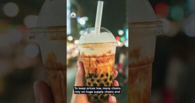 Boba: Boom or Bust?