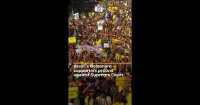 Brazil’s Bolsonaro supporters protest against Supreme Court | AJ #shorts