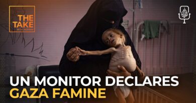 Brief: UN monitor declares Gaza famine as Israel advances in Gaza city | The Take