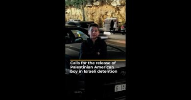 Calls for the release of Palestinian American boy in Israeli detention | AJ#shorts