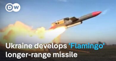 Can Ukrainian strikes inside Russia inflict lasting damage on the Kremlin’s war machine?  | DW News