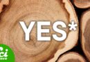 Can You Melt Wood?