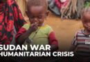 Children in Sudan’s el-Fasher ‘starving’ after 500 days of siege: UNICEF