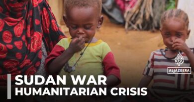 Children in Sudan’s el-Fasher ‘starving’ after 500 days of siege: UNICEF