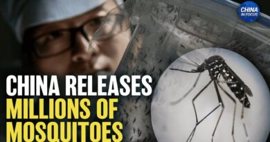 China’s Mosquito Factory Releases Millions of Mosquitoes; Virologist Raises Alarm