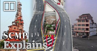 China’s ‘nail houses’: thorn in urban developers’ side or victims of redevelopment?