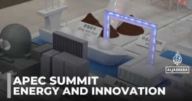 Climate expo in South Korea: Event explores the use of artificial intelligence