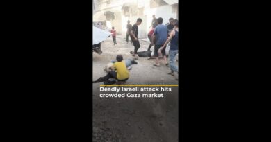 Deadly Israeli attack hits crowded Gaza market | AJ #shorts