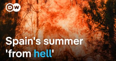 Deadly wildfires across Spain: Where are the worst-affected areas? | DW News