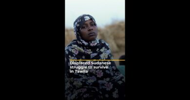 Displaced Sudanese struggle to survive in Tawila | AJ #shorts
