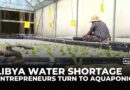 Entrepreneurs in Libya turn to aquaponics to fight worsening water scarcity