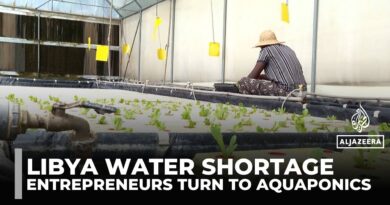 Entrepreneurs in Libya turn to aquaponics to fight worsening water scarcity