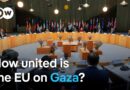 EU foreign ministers debate action on Gaza at Copenhagen summit | DW News