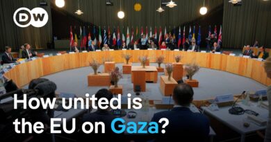 EU foreign ministers debate action on Gaza at Copenhagen summit | DW News