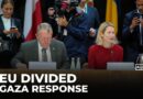 EU foreign ministers seek united position: Bloc divided on response to Israel’s war on Gaza