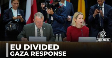 EU foreign ministers seek united position: Bloc divided on response to Israel’s war on Gaza