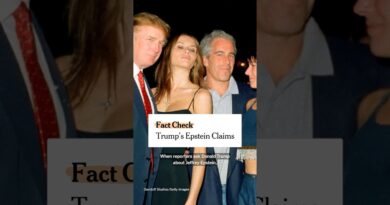 Fact Check: Trump’s Epstein Claims