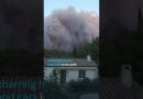 France battles its largest wildfire since 1949 | DW News