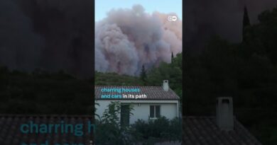 France battles its largest wildfire since 1949 | DW News