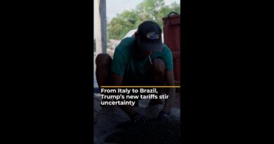 From Italy to Brazil, Trump’s new tariffs stir uncertainty | AJ #shorts