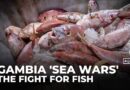 Gambian fishermen battle foreign trawlers as dwindling fish stocks threaten livelihoods