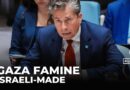 Gaza famine ‘preventable’ if Israel allowed aid: UN