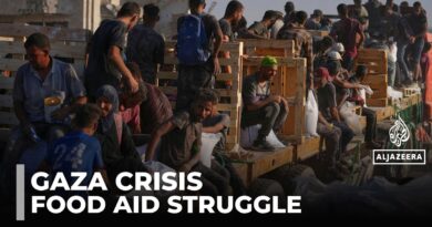 Gaza: Searching for Food Becomes a Death Journey