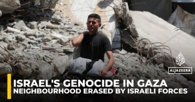 Gaza’s al-Zeitoun left ‘like tsunami hit’ after 45-day Israeli assault