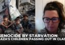Gaza’s traumatised children ‘profoundly impacted’ by war and starvation, aid doctor says