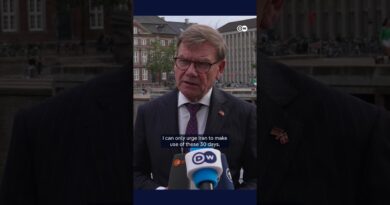 German FM Wadephul to Iran: Make use of these 30 days | DW News