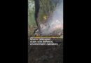Ghana helicopter crash kills defence, environment ministers | AJ #shorts
