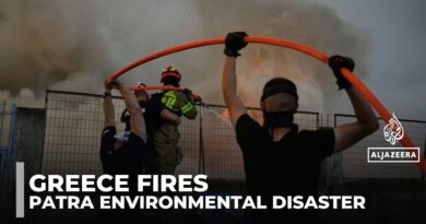 Greece wildfires: Patras mayor accuses government of slow response