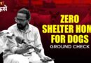Ground Report: SC Wants Stray Dogs Removed, But Where Will Delhi Send Them?  | The Quint