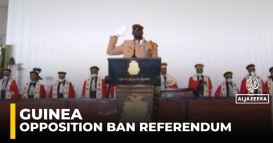 Guinea: Opposition Suspension Raises Fears for Democracy Ahead of Referendum