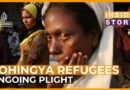 Has the world forgotten about the plight of the Rohingya? | Inside Story