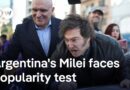 Have President Milei’s austerity policies been a success or failure? | DW News